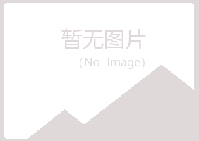 岐山县雁枫服务有限公司